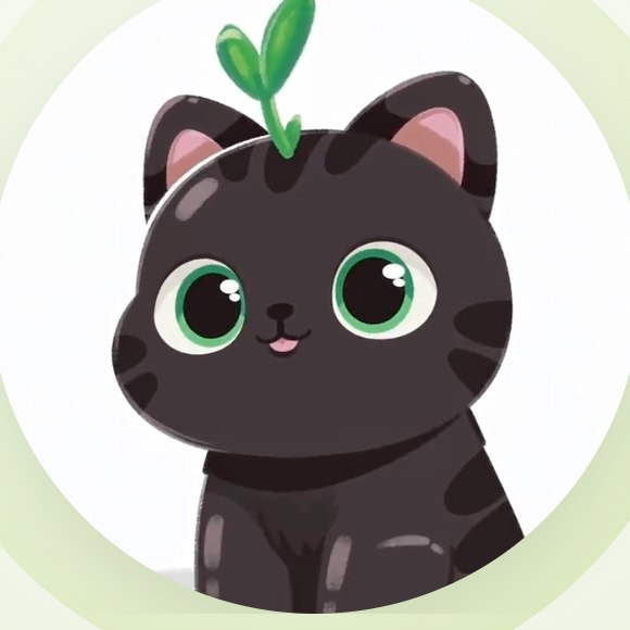 Sprout the cat