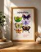Prints