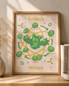 Solosis Science Poster